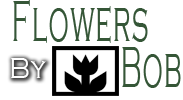 Maynardville, TN 37807 - Send flowers and gifts for any occasion from Flowers By Bob